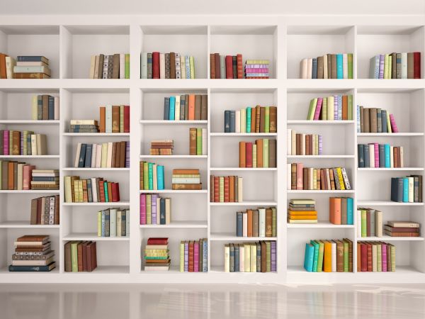 Bookshelf Assembly in Mason